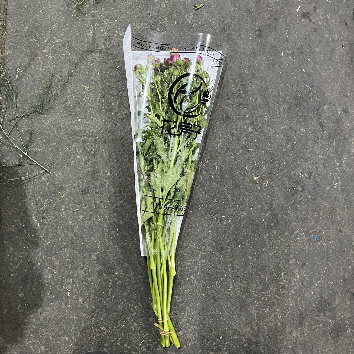 不售后，必买花房子乌梅子酱蝴蝶洋牡丹1扎4～5只，购买三单包邮,淘宝优惠券,粉丝福利购,淘宝优惠卷