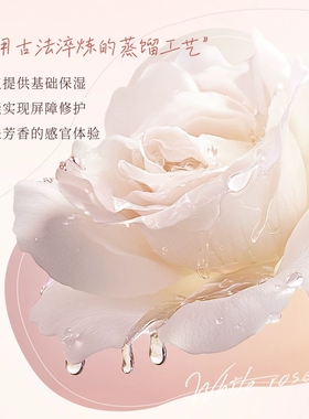 韩伦美羽白玫瑰光感身体霜保湿
