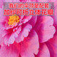 Blooming Flowers in the Blooming Age Children's Performance Dance Props