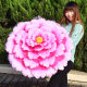 Blooming Flowers in the Blooming Age Children's Performance Dance Props