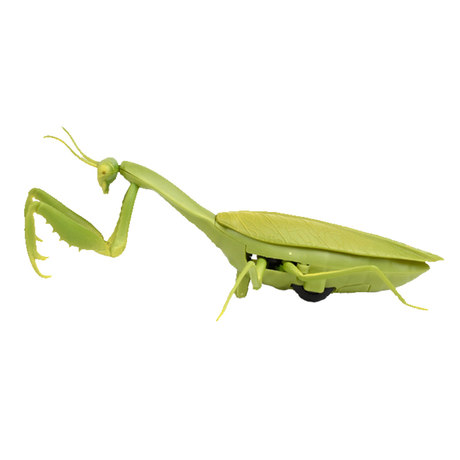 mantis toy