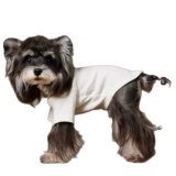 Тони медведь щенка для собачьей одежды осень и зимний твердый цвет с шнауцером Тедди Бишон Медведь Померанская базовая рубашка базы