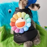 Демисезонный милый пуховик на солнечной энергии, жилет, куртка, осенний сезон