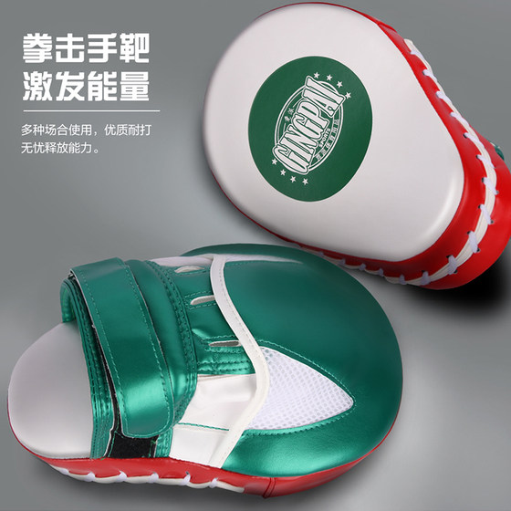 Professional Sanda fighter target sparring equipment and tools