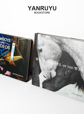 真书摆件简约现代样板间客厅