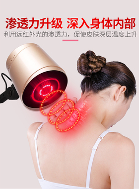 艾灸养生美容院专用熏蒸仪