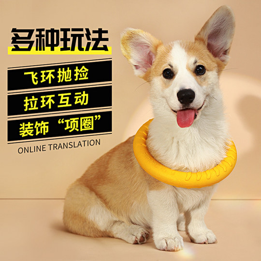 Various styles of dog toy training self-stimulation tools