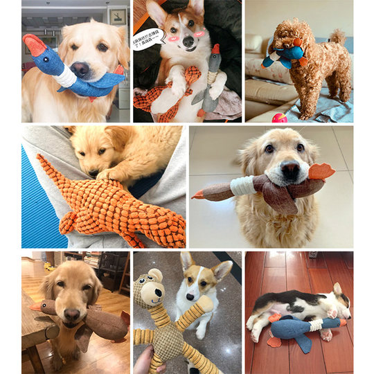 Dog teeth grinding toys pets to relieve boredom