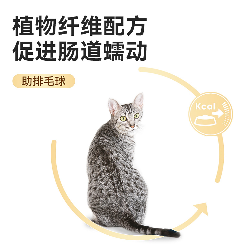 皇家猫粮幼猫奶糕专用官方正品BK34/K36小猫孕猫离乳期湿粮包主粮-图2