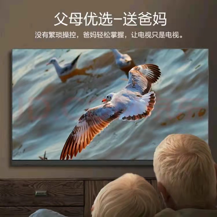 panasonic /松下32英寸高清全面屏 松下电视平板电视