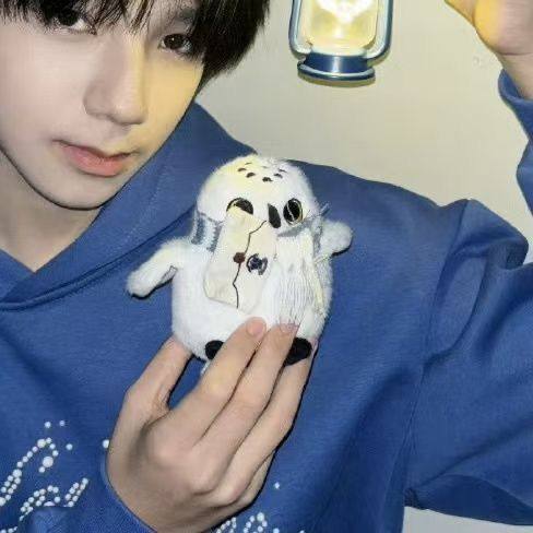 仅娃衣】王橹杰同款围巾海德薇站肩公仔可爱毛绒玩偶猫头鹰同款,淘宝优惠券,粉丝福利购,淘宝优惠卷