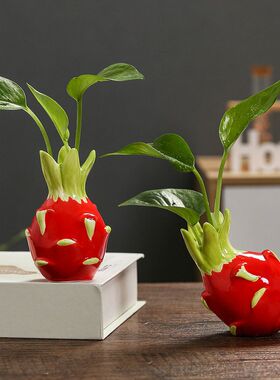 摆件水培插花新款装饰陶瓷植物