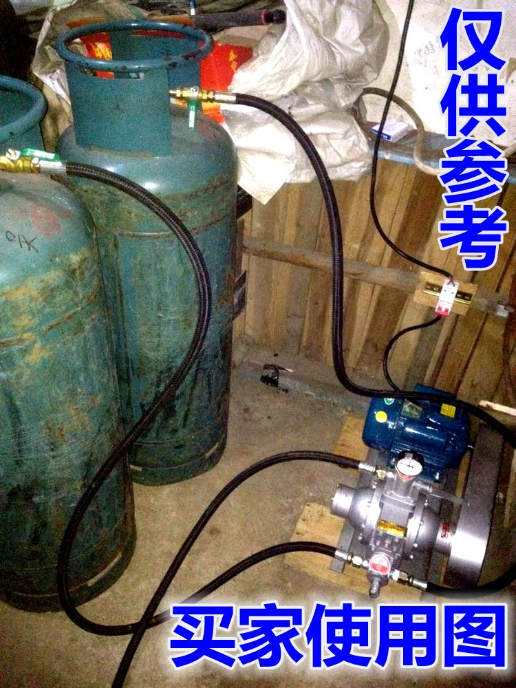 定制液化气泵液化气导气泵充气过气泵倒气充装泵220v48v12v车载导 - 图2