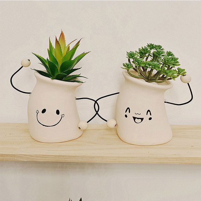 Simulated succulent tabletop potted plant living room decoration ornaments