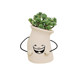 Simulated succulent tabletop potted plant living room decoration ornaments