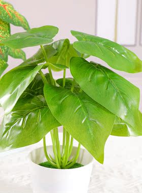 绿萝仿真植物小盆栽室内装饰摆件