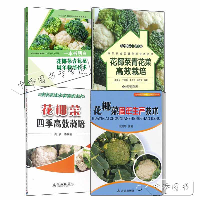 种植花椰菜 新人首单立减十元 21年8月 淘宝海外