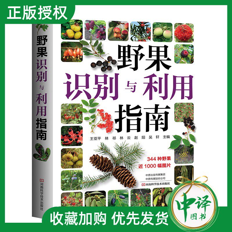 野果图鉴 新人首单立减十元 21年7月 淘宝海外