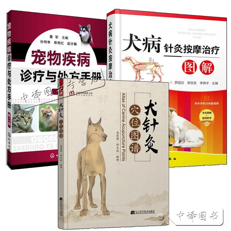 穴位图狗 新人首单立减十元 21年12月 淘宝海外