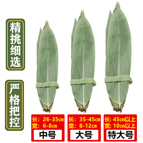 粽叶免邮新鲜大箬叶端午节特大本地棕叶包粽子的叶子粽子叶干大号 - 图1