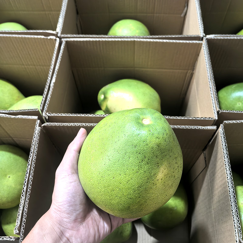 正宗安福蚕子江西特产吉安金兰柚孕妇新鲜水果萍乡武功山吉水柚子