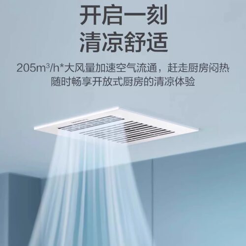 松下遥控凉霸厨房照明二合一专用空调集成吊顶嵌入式冷霸电风扇 - 图0
