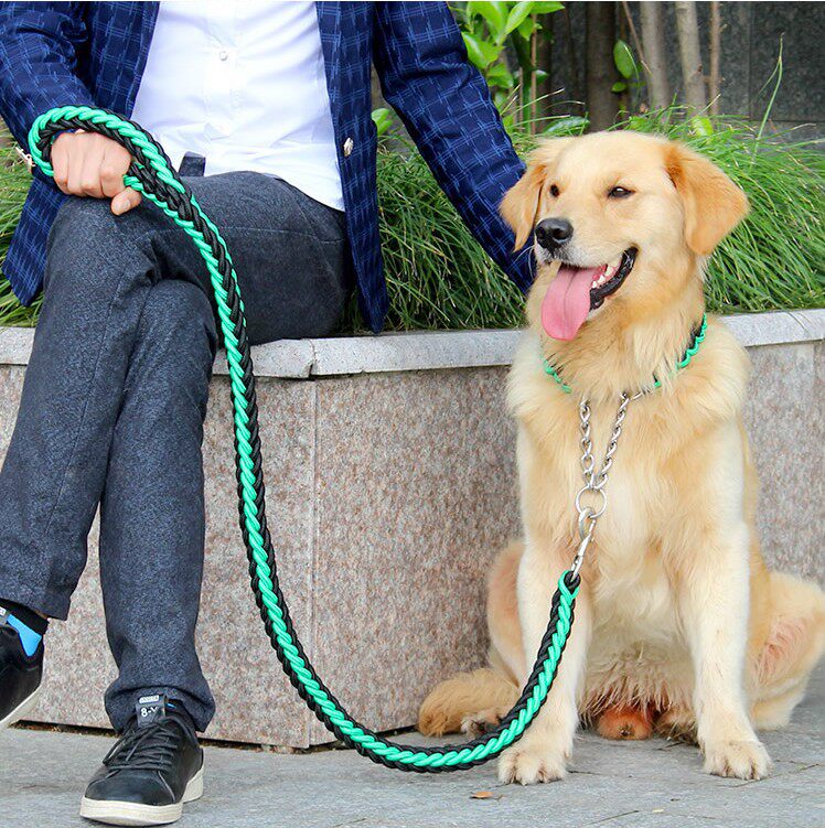 狗绳子狗链子大型犬小型犬泰迪金毛萨摩中型犬牵引绳项圈萨摩脖圈