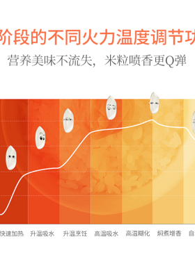 全自动智能家用数码煲仔饭机