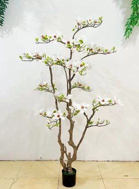 花饰界高端玉兰花树仿真绿植假树室内客厅仿生禄植盆栽落地装饰植