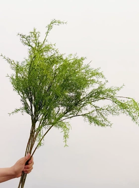 花饰界仿真绿植雾凇芦荀草婚庆背景插花造景垂吊白绿森系花艺婚庆