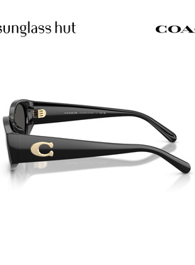 Coach蔻驰秋冬新品太阳镜女款椭圆形墨镜0HC8462U