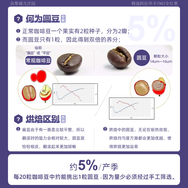 云南小粒圆咖啡豆 珍稀5%产量 精品阿拉比卡日晒手冲咖啡粉 中烘