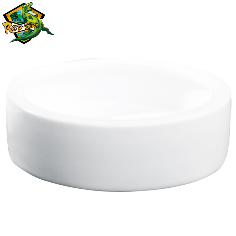 爬虫防逃逸食盆爬宠守宫鬃狮活体饲料面包虫大麦虫防逃脱超SUDO,淘宝优惠券,粉丝福利购,淘宝优惠卷