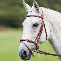 British Shires Standard Water Reins (Avignon) Bull Leather Type Water Le Reins Loch Horse 8218086