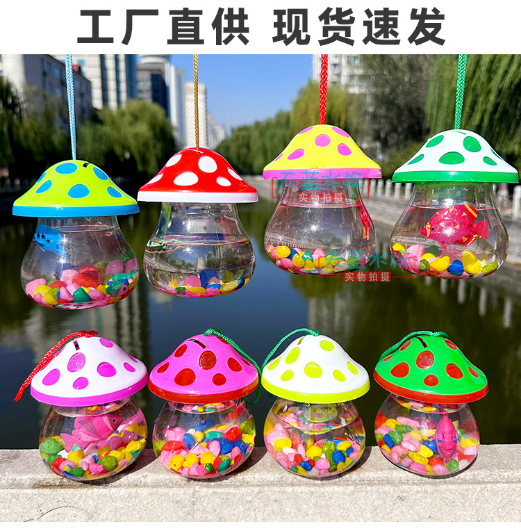 手提小鱼缸透明乌龟盒塑料企鹅QQ杯龟瓶鱼瓶宠物盒水母杯儿童摆摊,淘宝优惠券,粉丝福利购,淘宝优惠卷