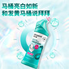 Jierou Jishijia Toilet Brushless Cleaner Toilet Cleaning Liquid