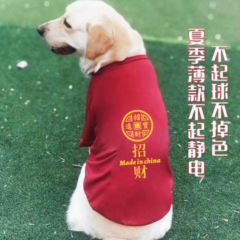 狗狗衣服夏季薄款背心大中小型犬金毛边牧柴犬泰迪博美宠物定制字 - 图0