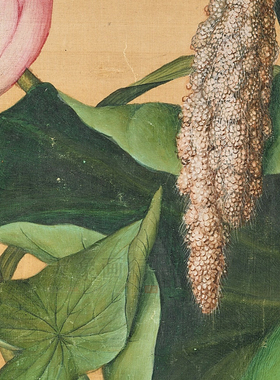 郎世宁池莲双瑞图聚瑞图荷花花瓶临摹范本中式装饰画艺术绢布画心