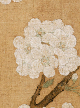 梨花鹦鹉图高清微喷宋元花鸟画小品临摹绢布画稿传统工笔花鸟范画