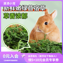 2023 New Drying Purple Flowers Clover Grass Dry Grass Hair Weight 750g Rabbit Dragon Cat Guinea Pig Dried Grass Rabbit Grain Grass