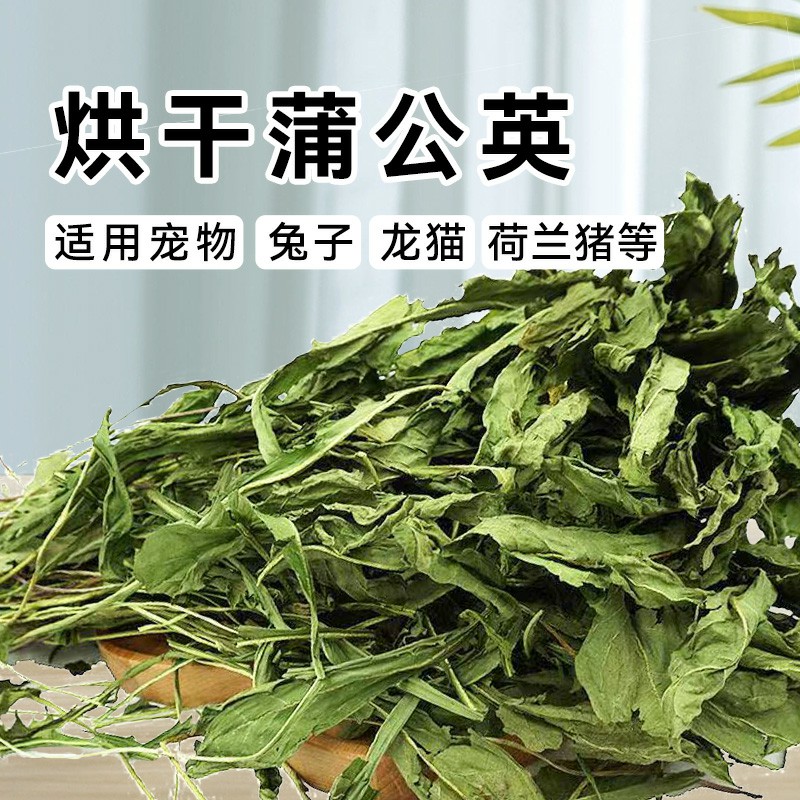 烘干整颗蒲公英抗菌消炎利尿兔子龙猫荷兰猪常备保健花草500g-图1