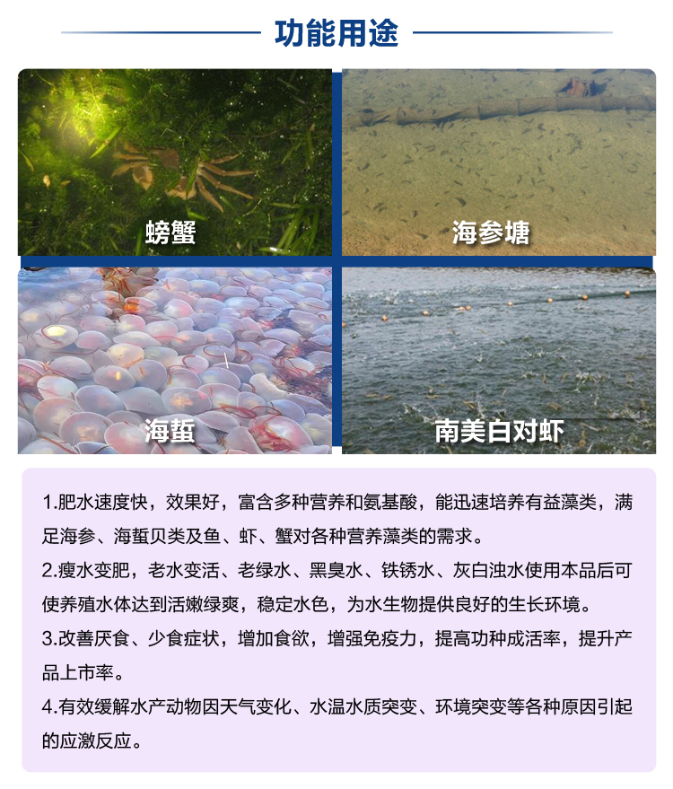 水产养殖鱼虾蟹贝培藻肥水浓缩氨基酸鱼药鱼塘用强力肥王晴雨两用-图1