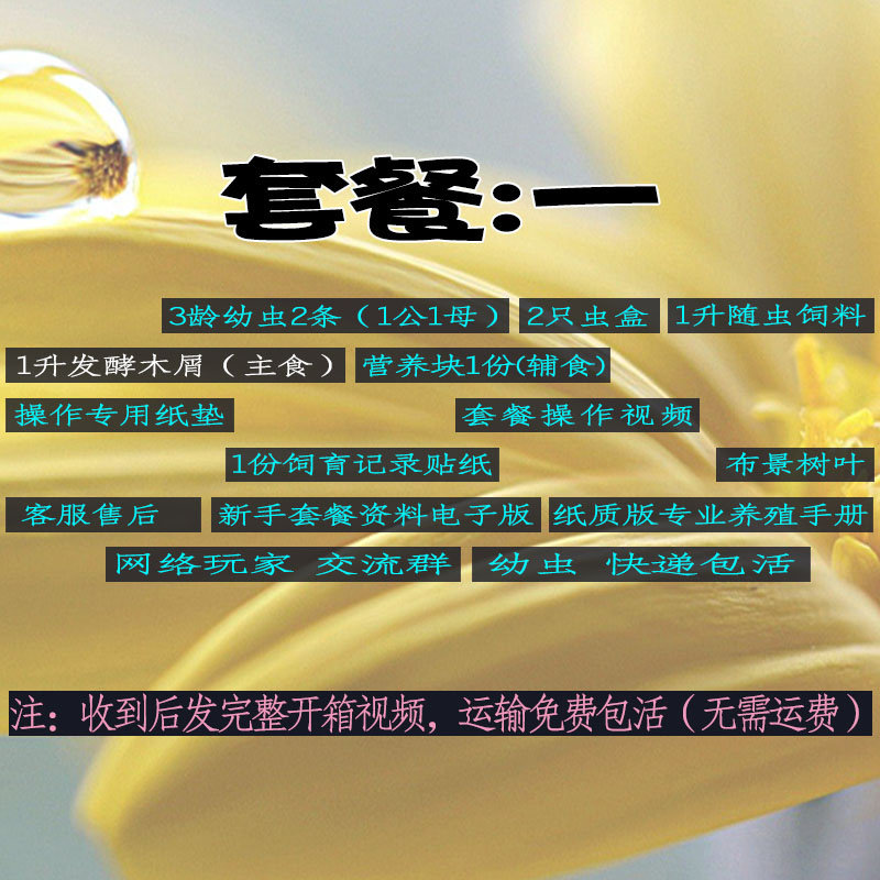 独角仙幼虫活虫饲养套装甲虫宠物成虫活物昆虫锹甲木屑食物饲养盒,淘宝优惠券,粉丝福利购,淘宝优惠卷