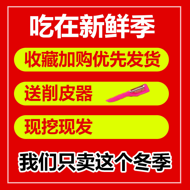 特级果王荔浦马蹄荸荠新鲜现挖即食广西桂林特产农家地梨栗特大果-图0