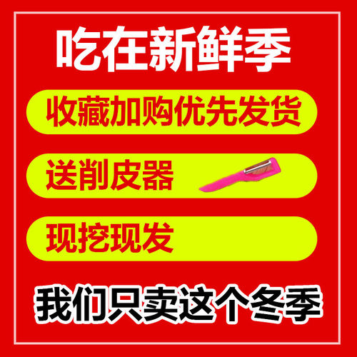 精选大果荔浦马蹄荸荠新鲜现挖即食广西特产地梨地栗蔬果零食包邮-图0