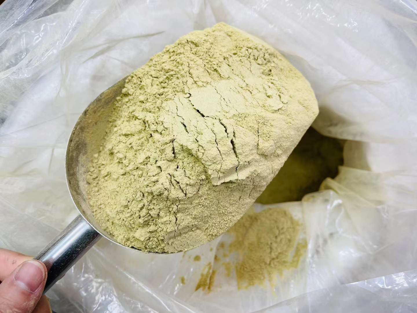 铁皮石斛粉纯粉石斛茶养生养胃茶石斛粉中药材500g铁皮石斛粉泡水