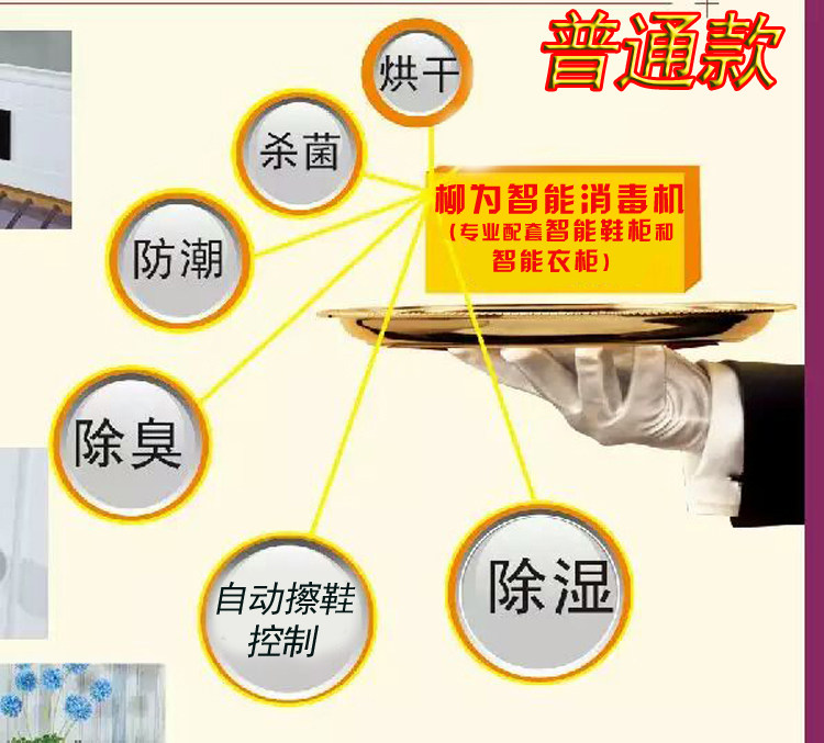 智能电子衣柜鞋凳鞋柜防霉防潮烘干护理消毒杀菌除臭机控制器定制,淘宝优惠券,粉丝福利购,淘宝优惠卷