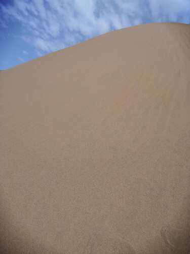 2000斤天然沙漠沙黄沙腾格里沙漠沙子宝宝玩具沙儿童沙池摄影造景 - 图3