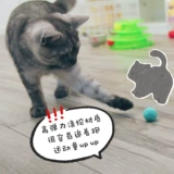 Радужная плюшевая игрушка, домашний питомец, кот, избавление от скуки