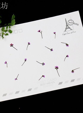 压花diy植物标本干花手工材料